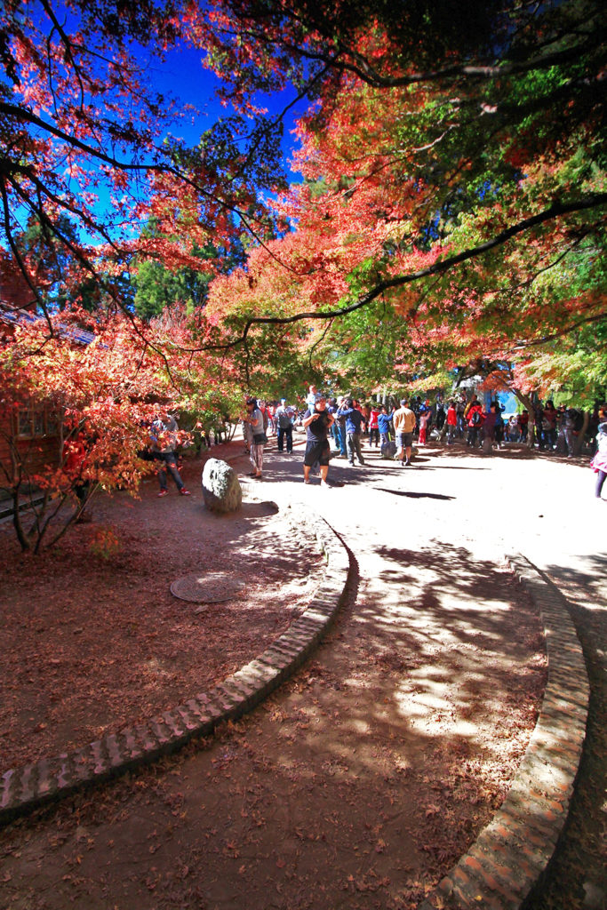 福壽山農場