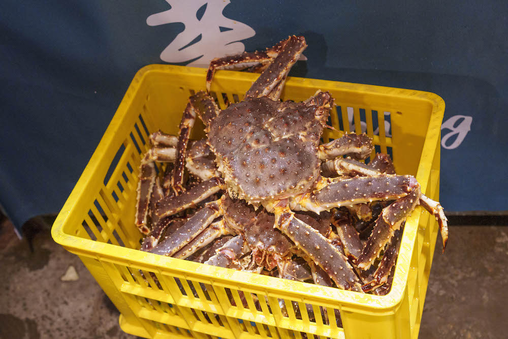 浮誇到烙下巴的「爆量海鮮火鍋」　豪華痛風餐「帝王蟹、龍蝦、鮭魚卵」一次爽吃到底！