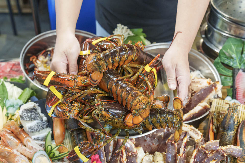 浮誇到烙下巴的「爆量海鮮火鍋」　豪華痛風餐「帝王蟹、龍蝦、鮭魚卵」一次爽吃到底！