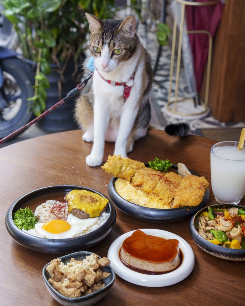 台北美食 Takeout Curry Shop｜貓奴先收藏！超人氣香料黑咖哩飯，「貓咪布丁」可愛到必須讓相機先食