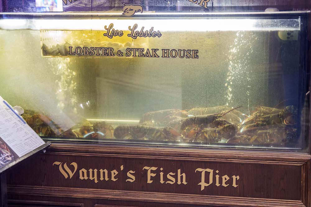 Wayne’s Seattle 瑋恩西雅圖美式龍蝦牛排餐廳｜從裝潢到料理都讓人眼睛為之一亮的美式龍蝦牛排餐廳