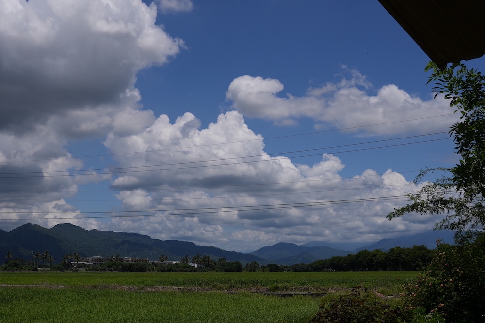 高雄美食 美濃隱藏版下午茶　咕便所コーヒー ｜遺忘憂愁的田園間老宅咖啡廳