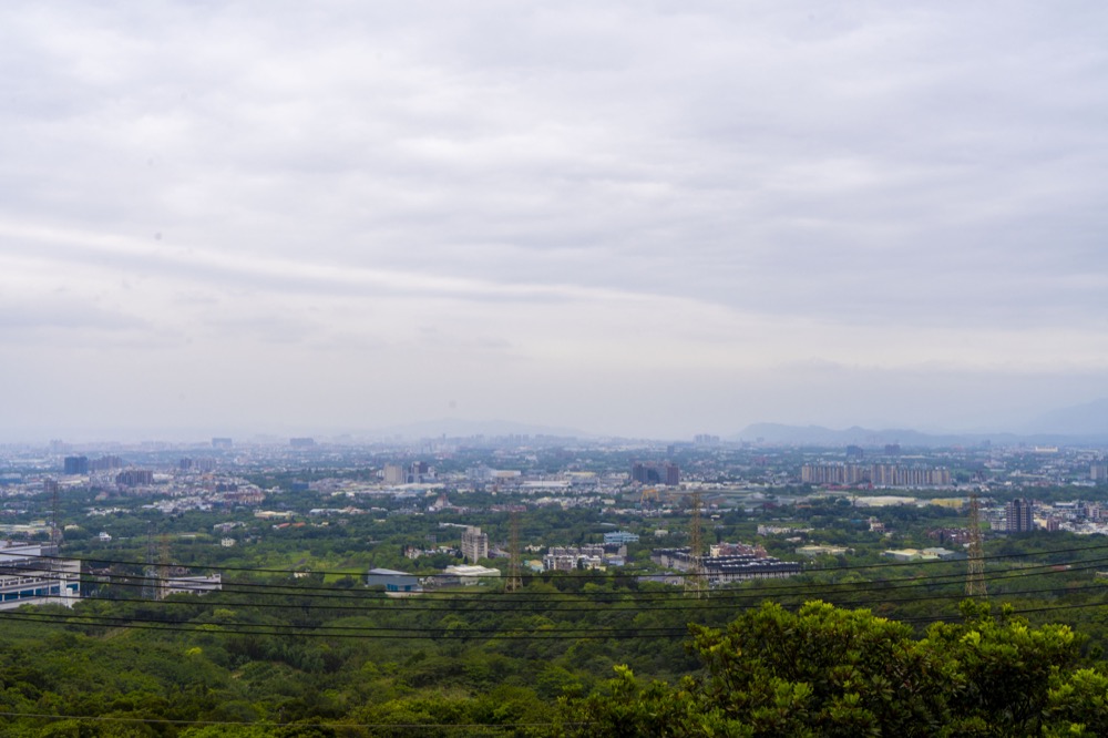 貓奴必朝聖！玻璃貨櫃屋景觀餐廳　有貓咪陪看夜景好療癒