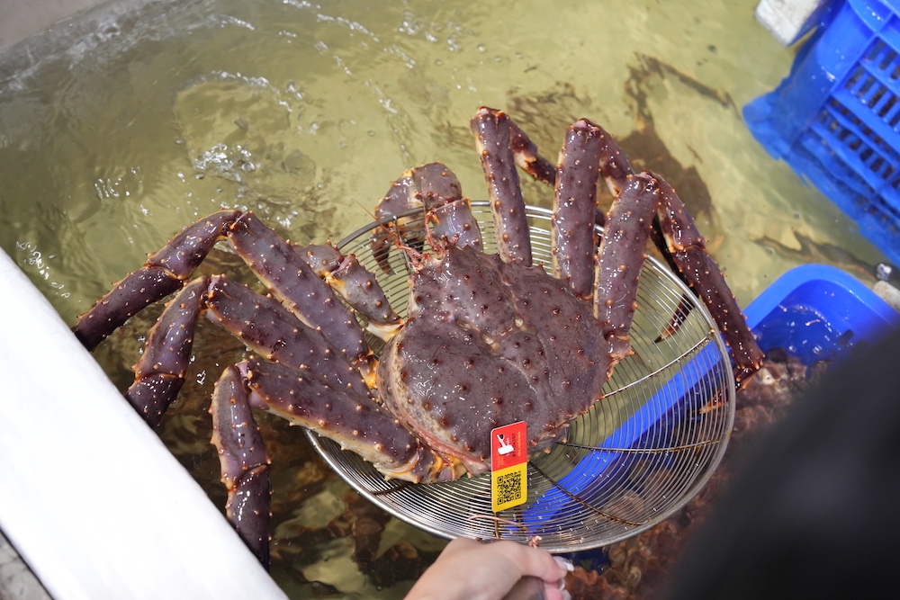 桃園美食 星星水產｜豪華又新鮮的活體水產超市 代客料理「龍蝦、生蠔、海膽」想吃什麼自己挑！