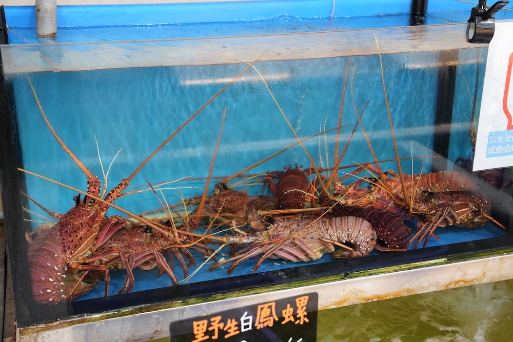 桃園美食 星星水產｜豪華又新鮮的活體水產超市 代客料理「龍蝦、生蠔、海膽」想吃什麼自己挑！