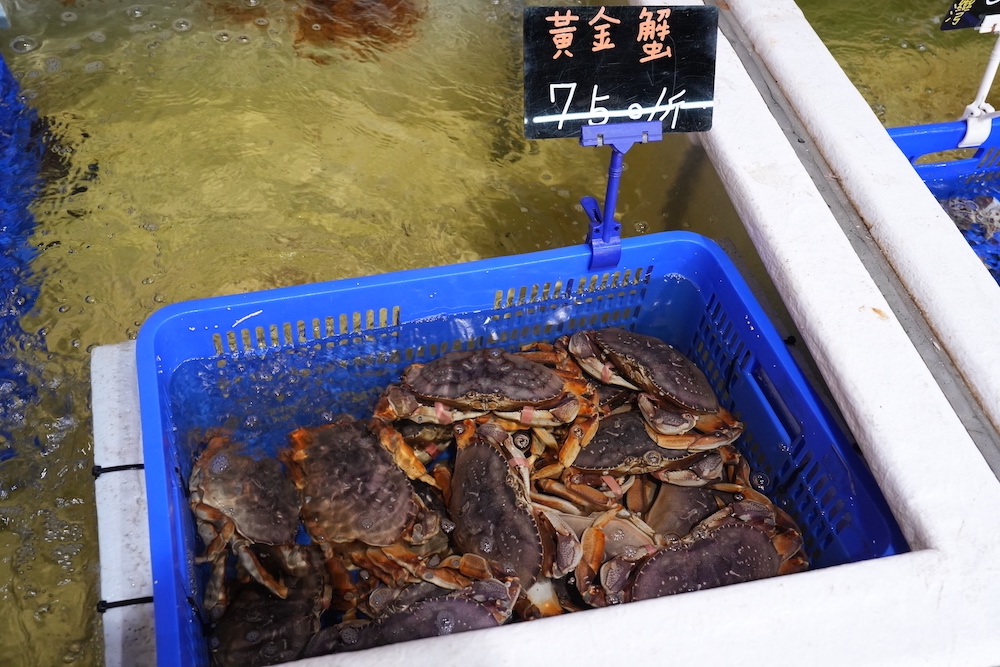 桃園美食 星星水產｜豪華又新鮮的活體水產超市 代客料理「龍蝦、生蠔、海膽」想吃什麼自己挑！